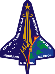 STS-107 비행 휘장의 벡터 이미지